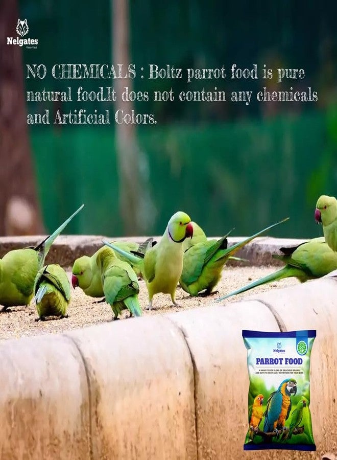 Nelgates Parrot Bird Food for Big Parrot African Grey Parrot,Sun Conure,Macaw,Lovebird and Alexander Mix Seeds 500grams - Image 2